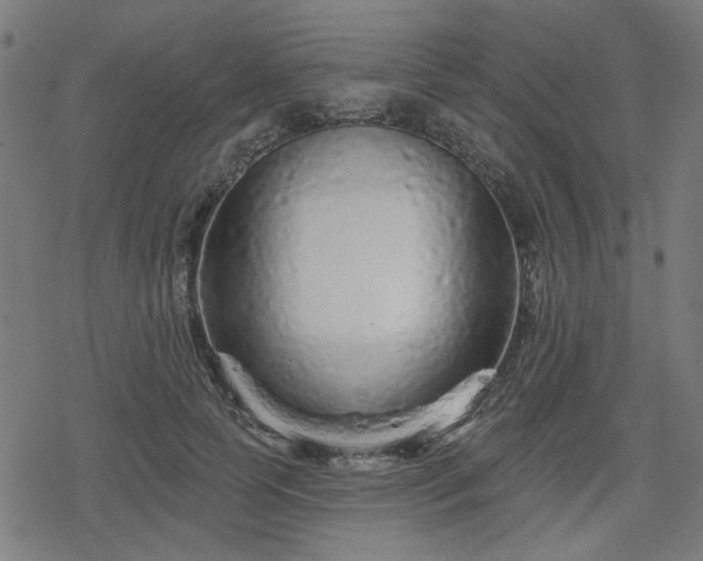 X0000078310745200611101227