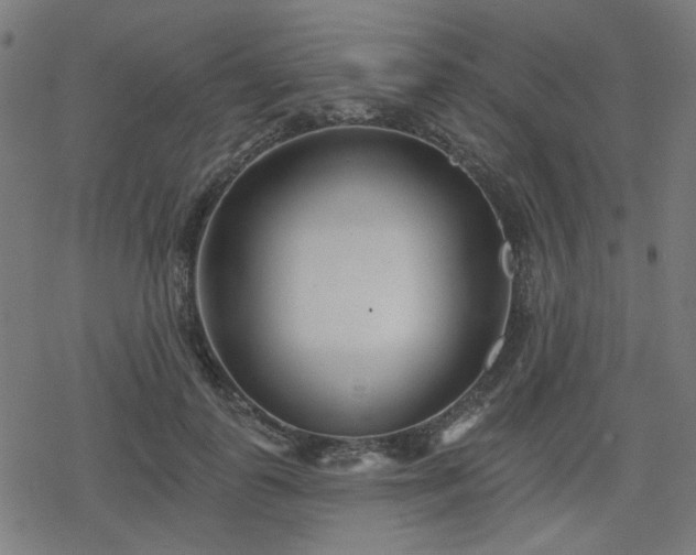 X0000078310747200611101227