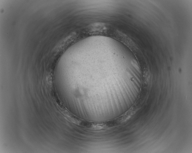 X0000078310753200611101227