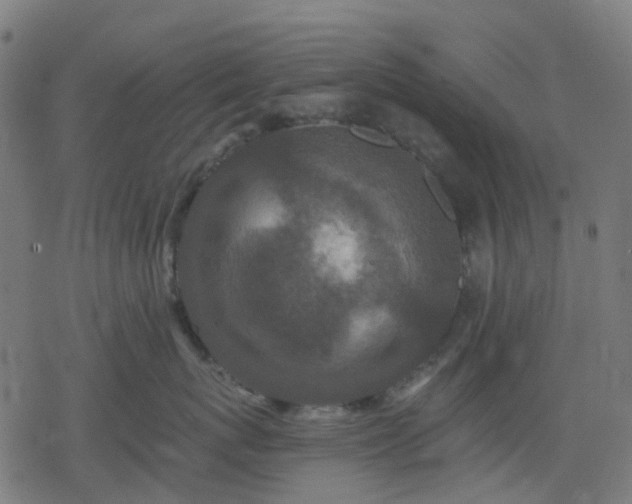 X0000078310767200611101227