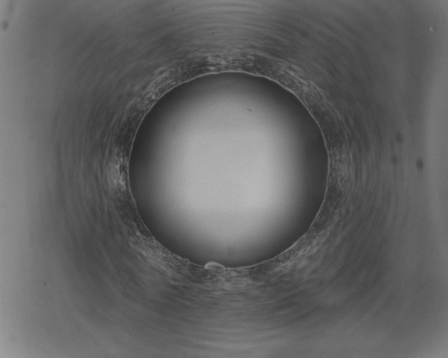 X0000078310770200611101227