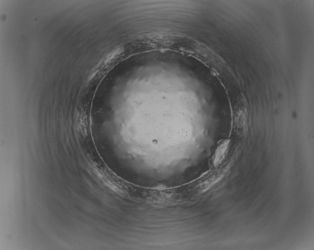 X0000078310772200611101227