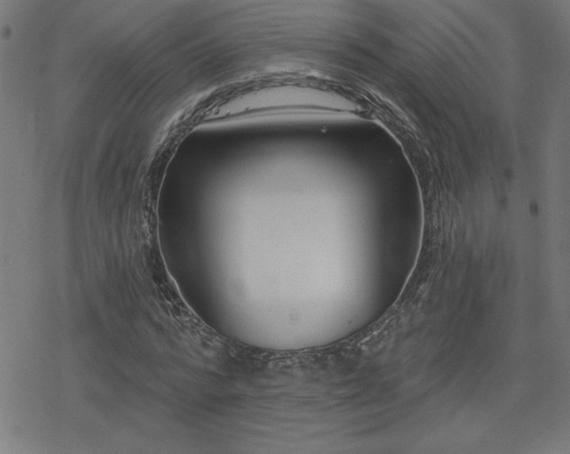 X0000078310776200611101227