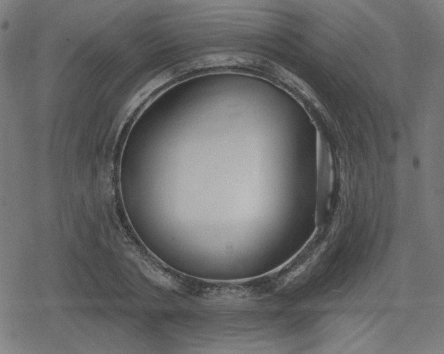 X0000078310786200611101226