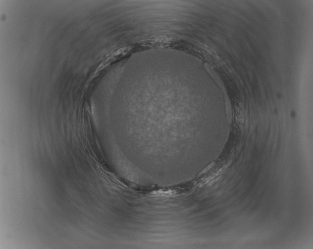 X0000078310818200611101225