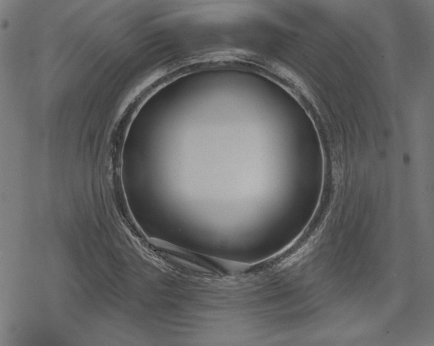X0000078310827200611101225