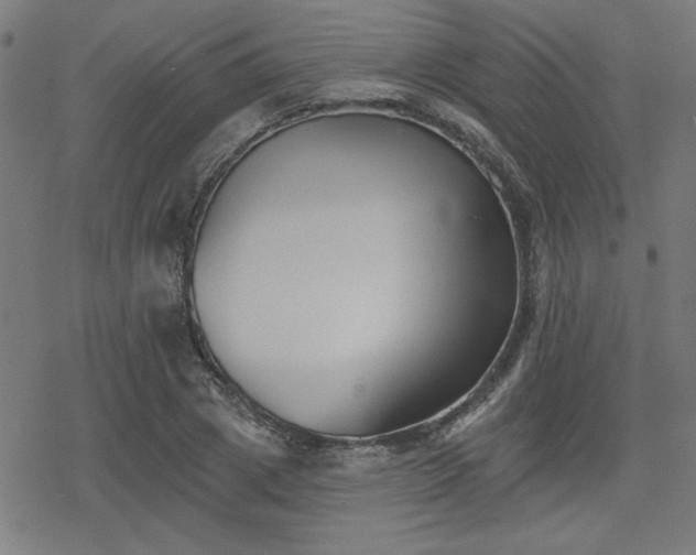 X0000078310833200611101225