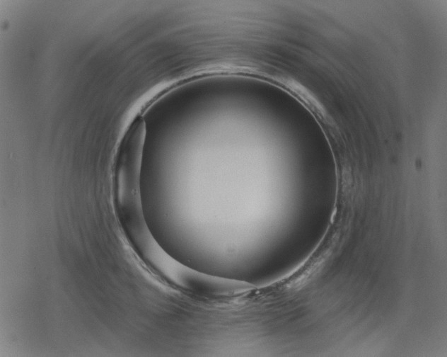X0000078310854200611101226