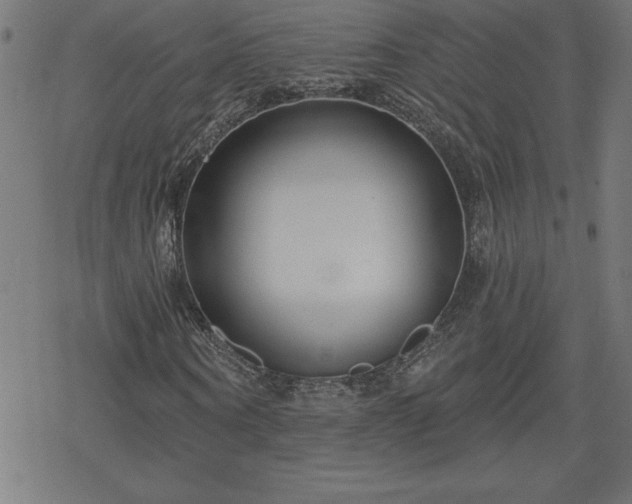 X0000078310866200611101225