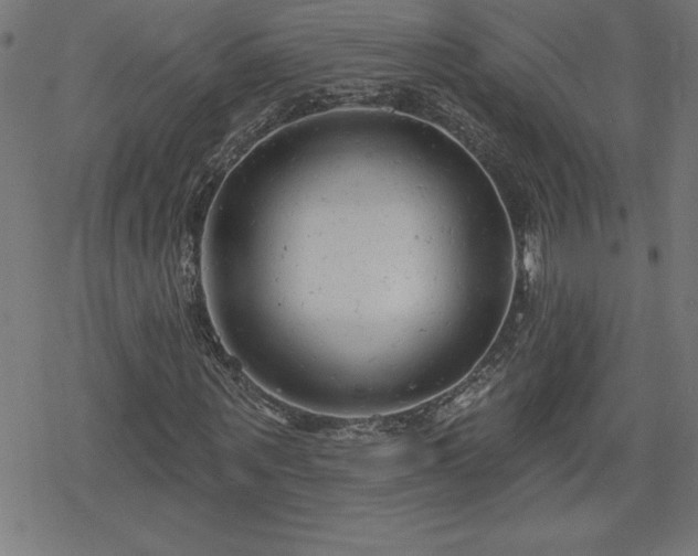 X0000078310867200611101225