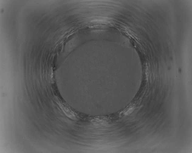 X0000078310868200611101225