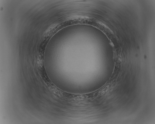 X0000078310869200611101225