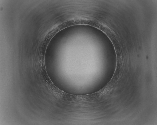X0000078310870200611101225