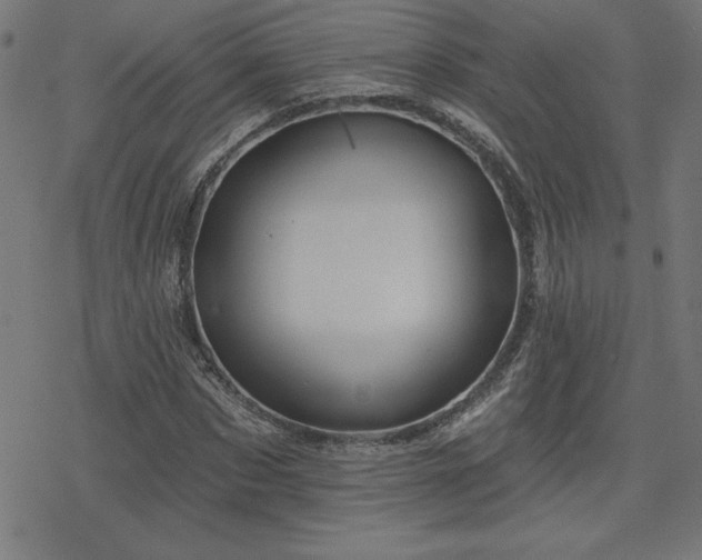X0000078310873200611101225