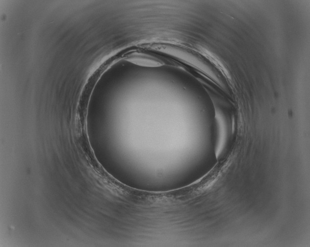 X0000078310876200611101225