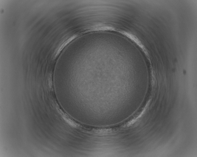 X0000078310889200611101225