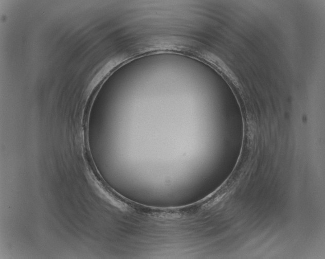 X0000078310890200611101225