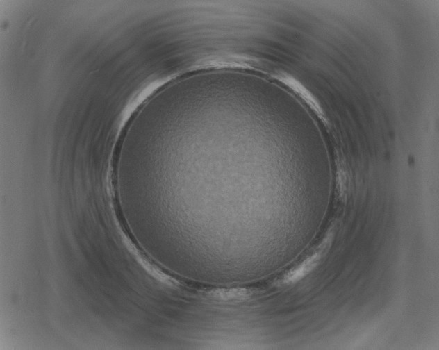 X0000078310893200611101225