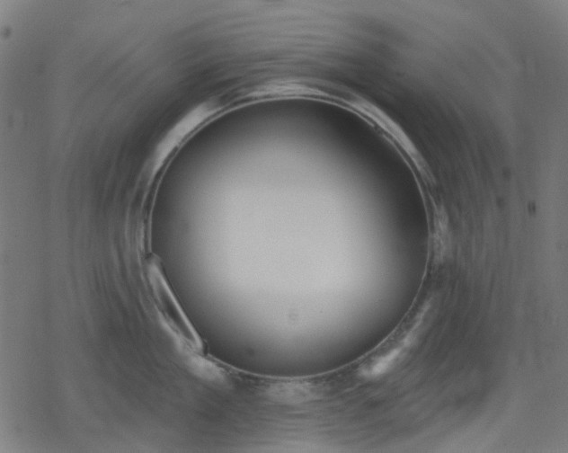 X0000078310909200611101224