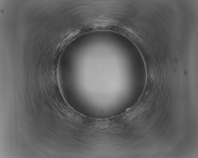 X0000078310964200611101223