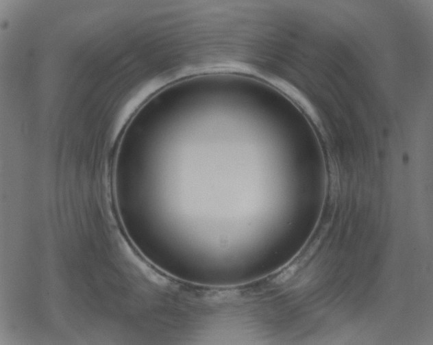 X0000078311006200611101223