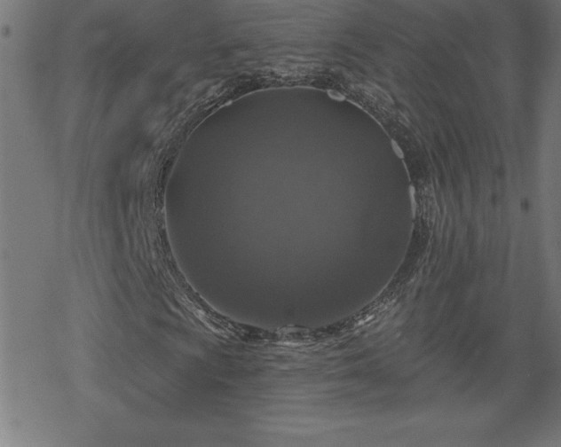 X0000078311009200611101222