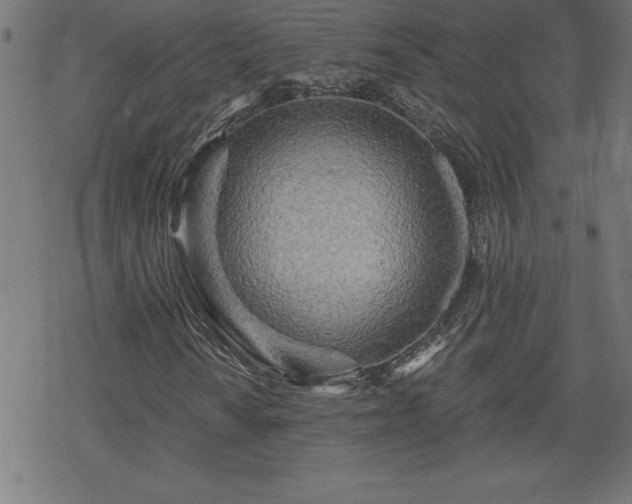X0000078311010200611101222