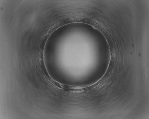 X0000078311012200611101222