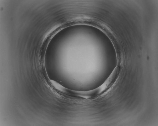 X0000078311018200611101222