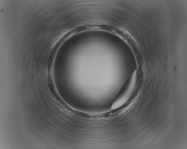 X0000078311065200611101222