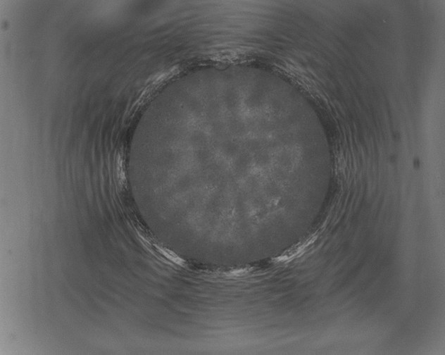 X0000078311106200611101220