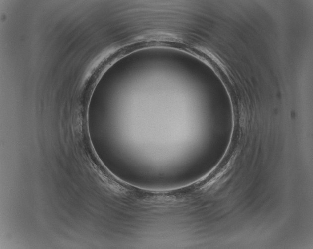 X0000078311115200611101221