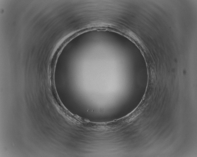 X0000078311124200611101221