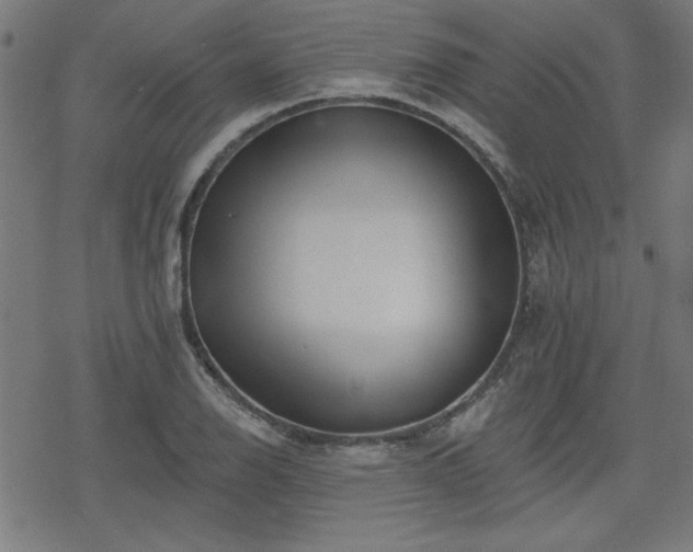 X0000078311126200611101221