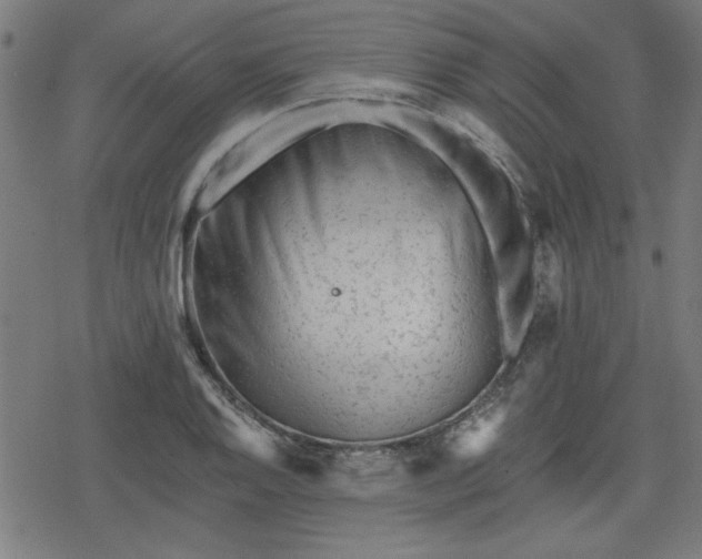 X0000078311128200611101221