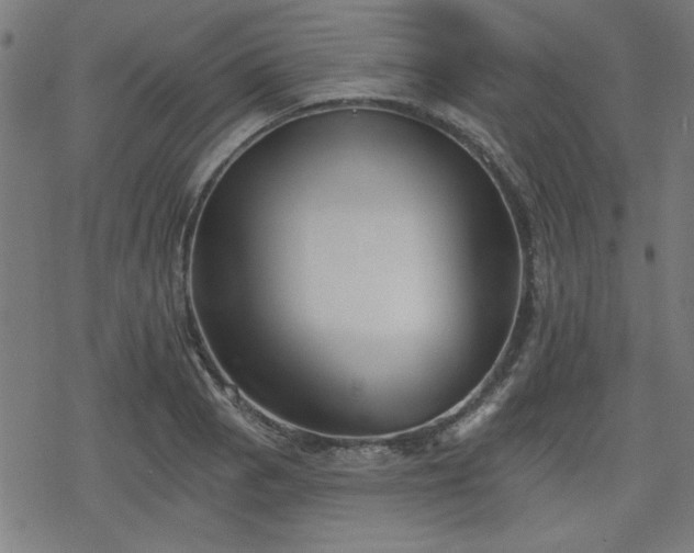 X0000078311129200611101221