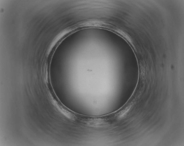 X0000078311131200611101221