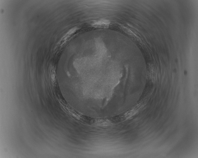 X0000078311154200611101220