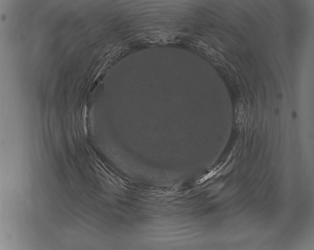 X0000078311202200611101219