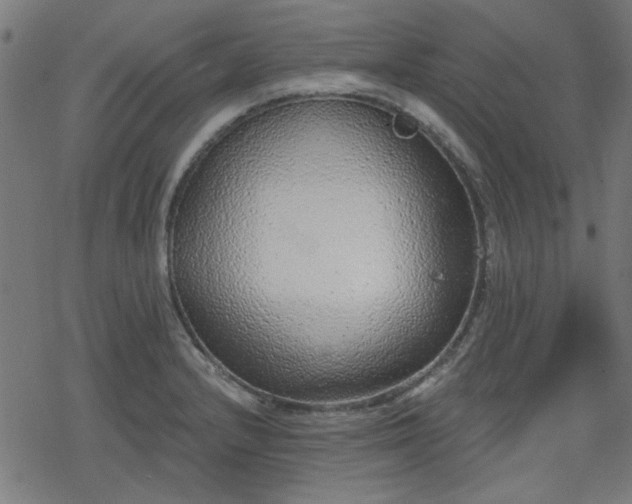 X0000078311232200611101219