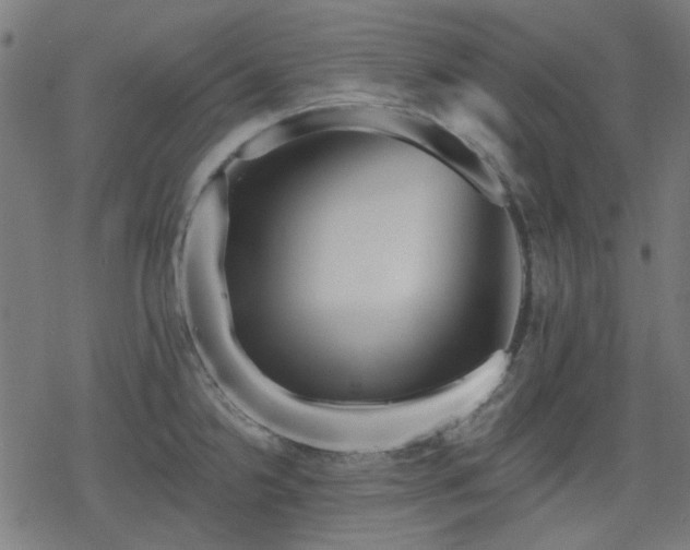 X0000078311238200611101219