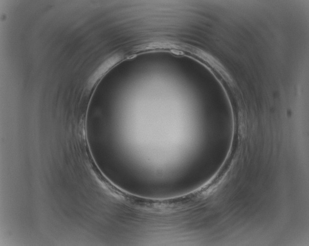 X0000078311241200611101220