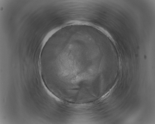 X0000078311247200611101220