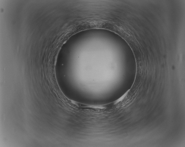 X0000078311249200611101219