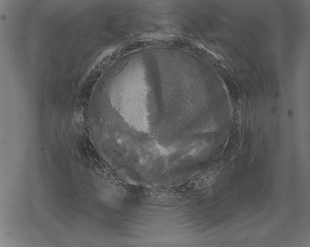 X0000078311254200611101219
