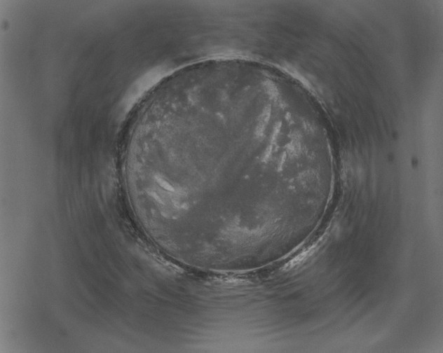 X0000078311263200611101219