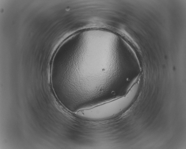 X0000078311276200611101218