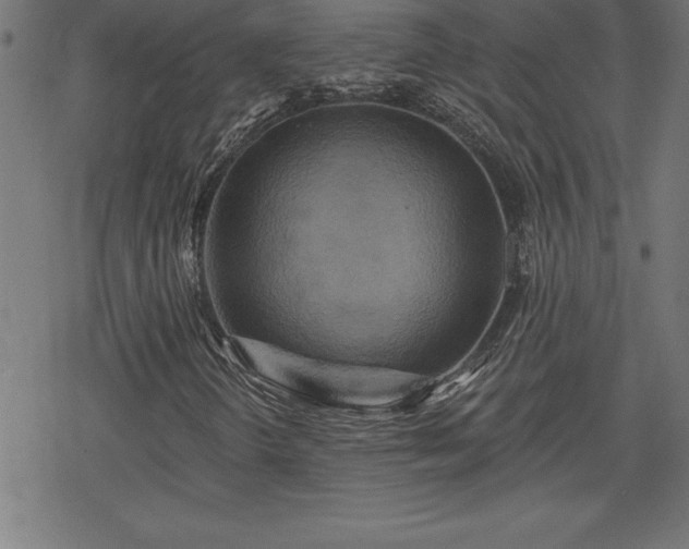 X0000078311298200611101217