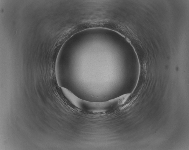 X0000078311300200611101217