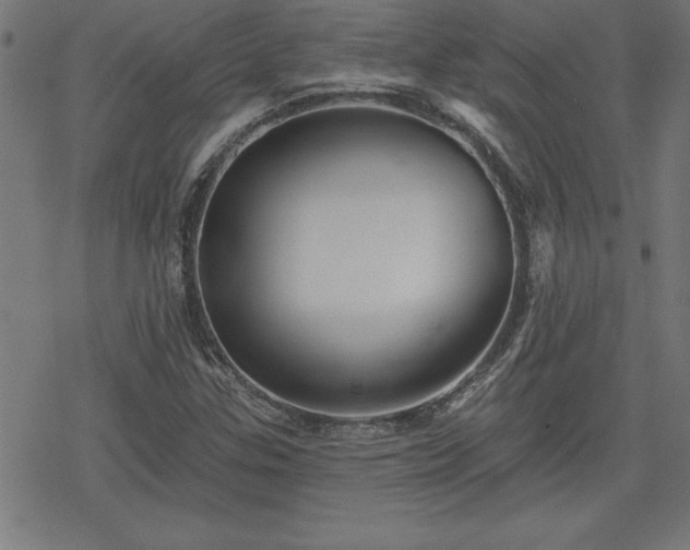 X0000078311307200611101217